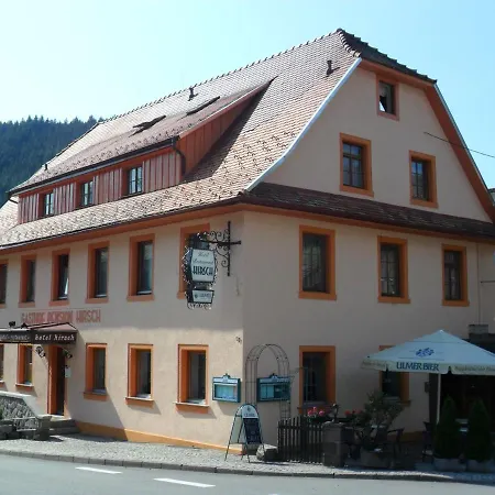 Hotel Hirsch 2*