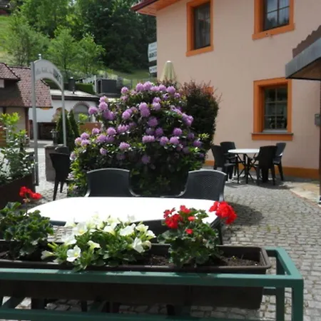 Hotel Hirsch
